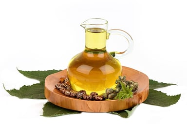 Castor Oil Plant