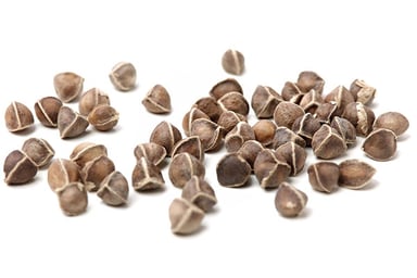 Moringa