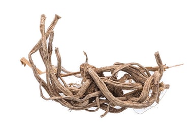 Vetiver
