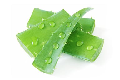 Aloevera