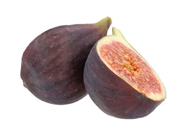 Common Fig